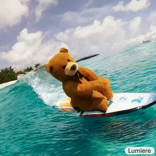 Confident teddy bear surfer rides the wave in the tropics